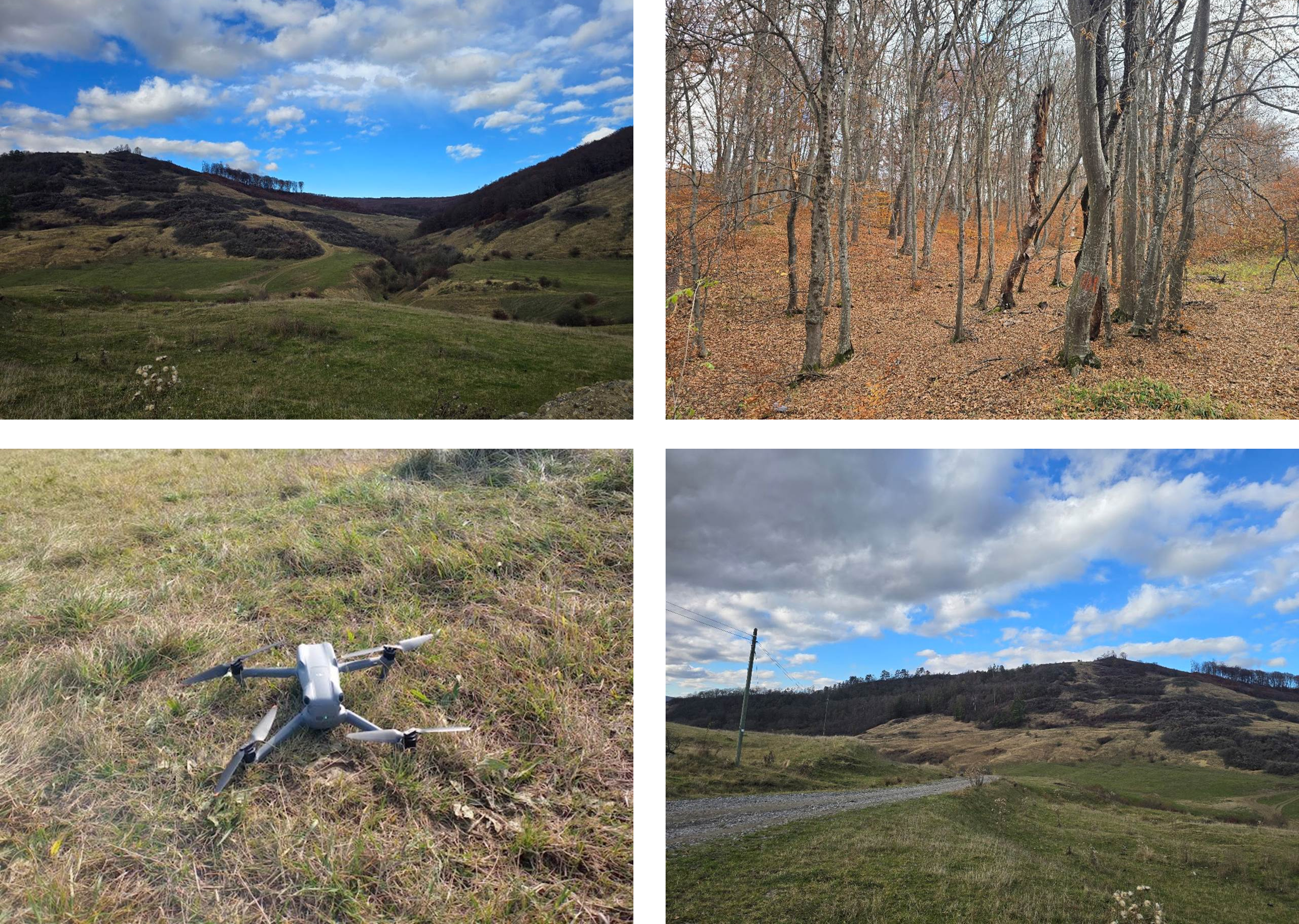 eo4nature_natura2000_sighisoara_2